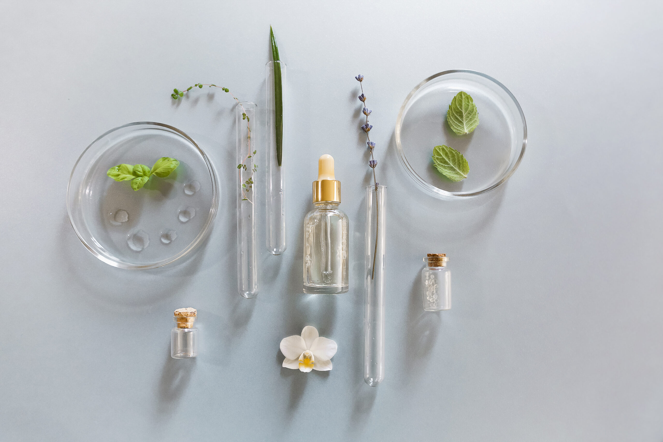 Set of various glassware on table in lab From above of assorted glass flasks and bottles arranged on table with fresh plants in modern laboratory